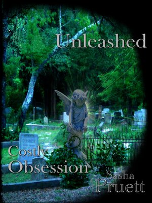 cover image of Costly Obsession